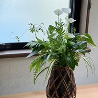 病院に定期的にお花をお届けいたします