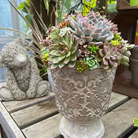 ショップに定期的にお花をお届けいたします