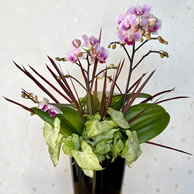 施設に定期的にお花をお届けいたします