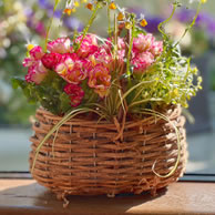 定期便でお花をお届けいたします