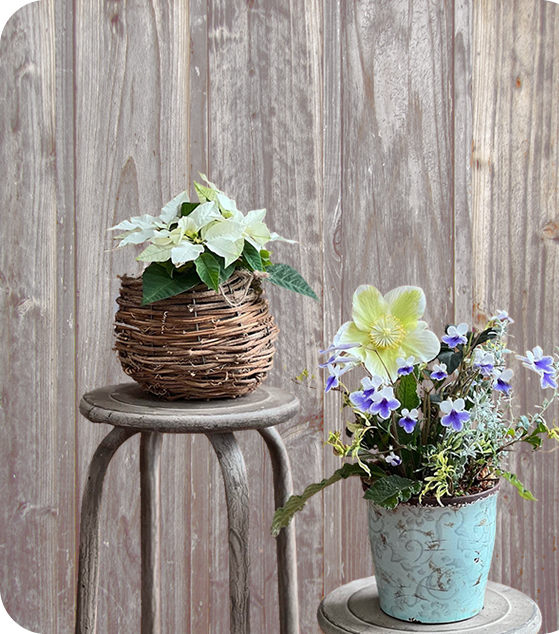 アトリエ紫雲英(げんげ)は、埼玉県八潮市、草加市、足立区、葛飾区、三郷市、越谷市にブリコラージュフラワーをお届けします。
