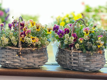 八潮市・三郷市・足立区にサロンや美容室、飲食店、病院、オフィスやその他施設などにお花をお届けいたします