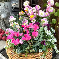 ご両親にお花をお届けいたします