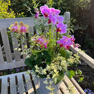 父の日母の日にお花をお届けいたします