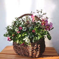 自分へのご褒美にお花をお届けいたします