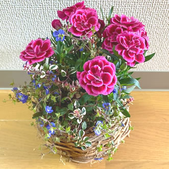 小さなブリコラージュフラワー。大切な方へお届けいたします