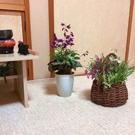 黒石様（月額コース）