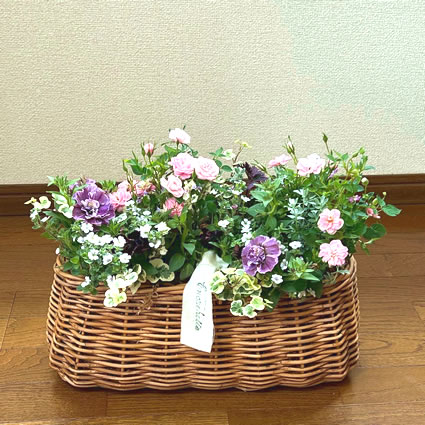 飯田様（母の日に）